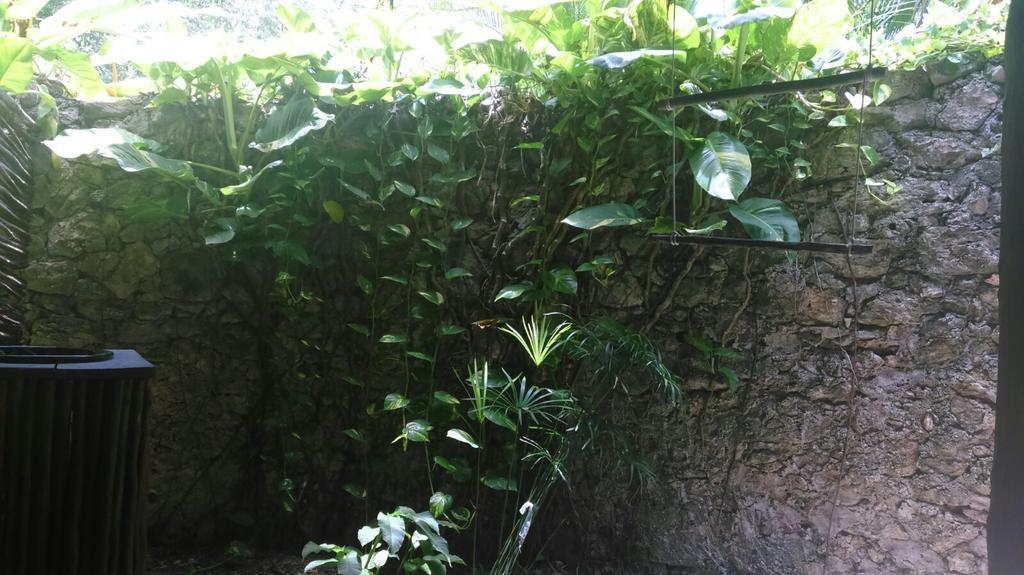 Villas Eco-Romanticas Kuuch Ka'Anil Bacalar Luaran gambar
